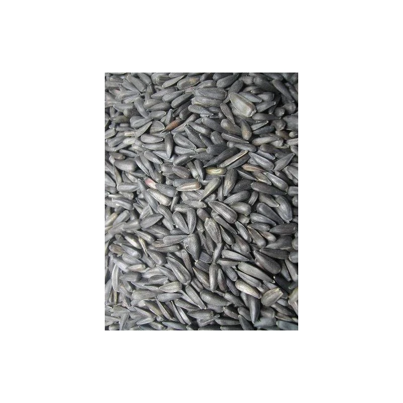 Tournesol Noir Micro Oiseaux Du Pays 25kg - Grizo 3 Tournesol Noir Micro Oiseaux Du Pays 25kg - Grizo