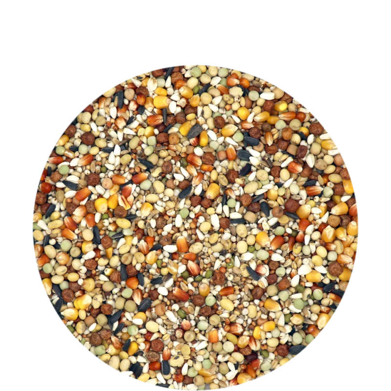 Traditional - Super Power Elevage - Mélange D'élevage De Haute Qualité, Avec Du Maïs Rouge Et Jaune 25kg 4 Traditional - Super Power Elevage - Mélange D'élevage De Haute Qualité, Avec Du Maïs Rouge Et Jaune 25kg - Image 2