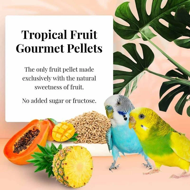 Tropical Fruit Gourmet Pellets Perruche 567gr - Lafeber's 4 Tropical Fruit Gourmet Pellets Perruche 567gr - Lafeber's - Image 2