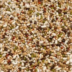 Wal Zoont Jens Basis Jaune 25kg - Beyers 5 Wal Zoont Jens Basis Jaune 25kg - Beyers -Bird Supply Store wal zoont jens basis jaune 25kg beyers 004424 beyers beyers wal zoont jens basis jaunebeyers zoontjens jaune est un melange de b 1