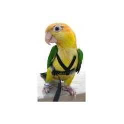 XXLarge Harnais Noir - The Aviator Flight Line